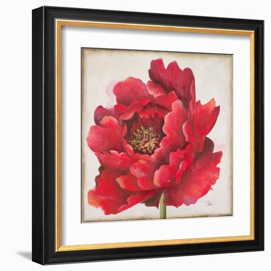 Red Peony-Patricia Pinto-Framed Art Print