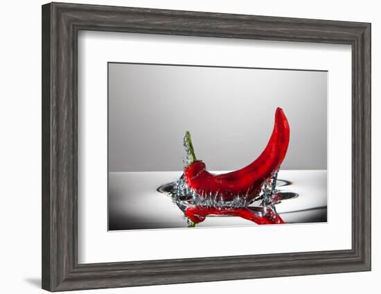 Red Pepper FreshSplash-Steve Gadomski-Framed Photographic Print