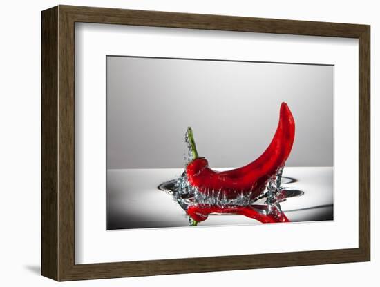 Red Pepper FreshSplash-Steve Gadomski-Framed Photographic Print