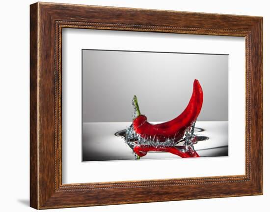 Red Pepper FreshSplash-Steve Gadomski-Framed Photographic Print