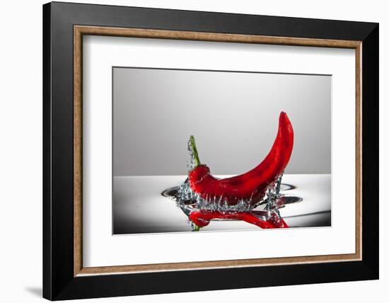 Red Pepper FreshSplash-Steve Gadomski-Framed Photographic Print