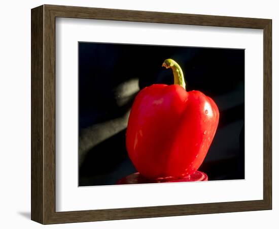 Red pepper is illuminated by warm sunlight-Charles Bowman-Framed Photographic Print