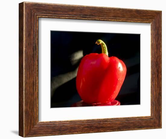 Red pepper is illuminated by warm sunlight-Charles Bowman-Framed Photographic Print