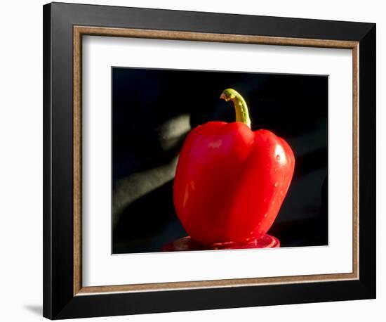 Red pepper is illuminated by warm sunlight-Charles Bowman-Framed Photographic Print