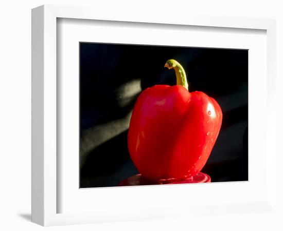 Red pepper is illuminated by warm sunlight-Charles Bowman-Framed Photographic Print