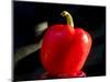 Red pepper is illuminated by warm sunlight-Charles Bowman-Mounted Photographic Print