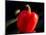 Red pepper is illuminated by warm sunlight-Charles Bowman-Mounted Photographic Print
