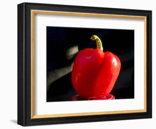 Red pepper is illuminated by warm sunlight-Charles Bowman-Framed Photographic Print