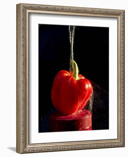 Red pepper is washed by column of water-Charles Bowman-Framed Photographic Print