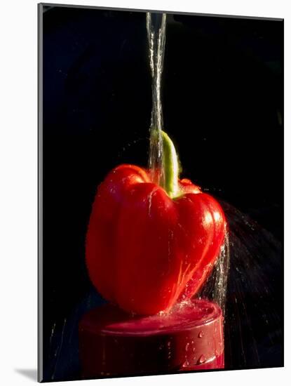 Red pepper is washed by column of water-Charles Bowman-Mounted Photographic Print