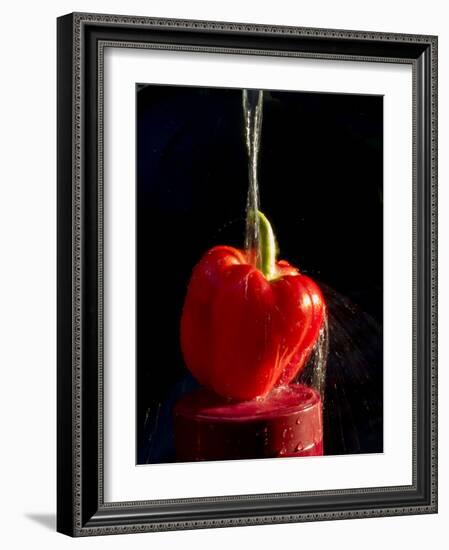 Red pepper is washed by column of water-Charles Bowman-Framed Photographic Print