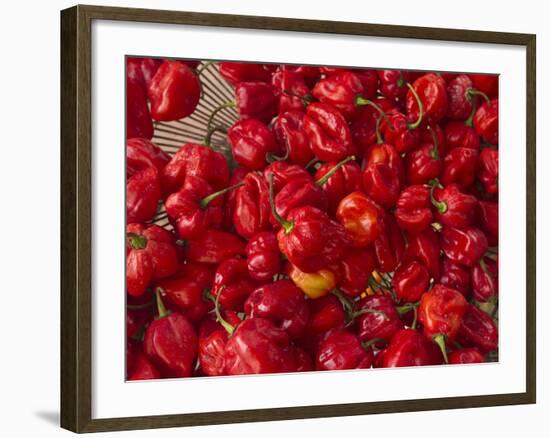 Red Peppers at the Saturday Market, San Ignacio, Belize-William Sutton-Framed Photographic Print