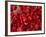 Red Peppers at the Saturday Market, San Ignacio, Belize-William Sutton-Framed Photographic Print