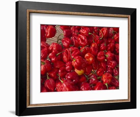 Red Peppers at the Saturday Market, San Ignacio, Belize-William Sutton-Framed Photographic Print