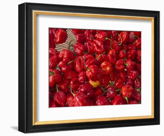 Red Peppers at the Saturday Market, San Ignacio, Belize-William Sutton-Framed Photographic Print