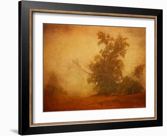 Red Planet-Irene Suchocki-Framed Photographic Print