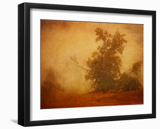 Red Planet-Irene Suchocki-Framed Photographic Print