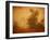 Red Planet-Irene Suchocki-Framed Photographic Print