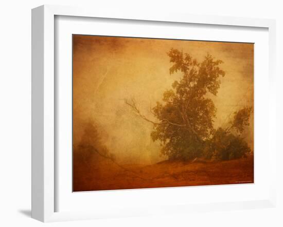 Red Planet-Irene Suchocki-Framed Photographic Print