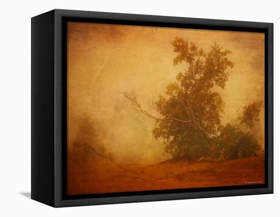 Red Planet-Irene Suchocki-Framed Premier Image Canvas