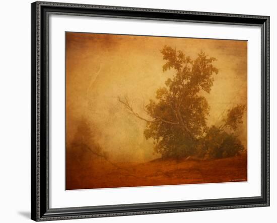 Red Planet-Irene Suchocki-Framed Photographic Print