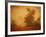 Red Planet-Irene Suchocki-Framed Photographic Print