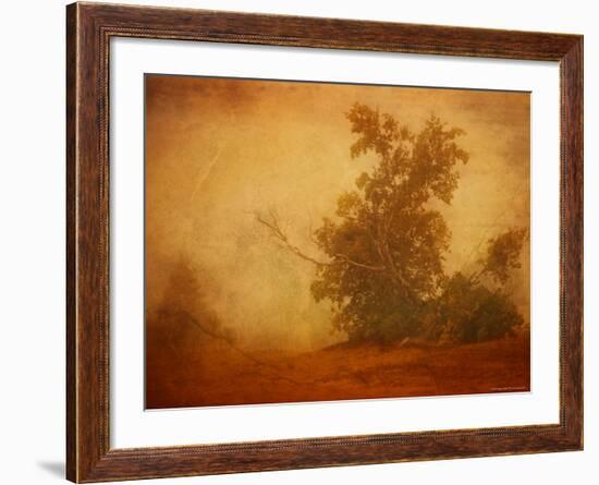 Red Planet-Irene Suchocki-Framed Photographic Print