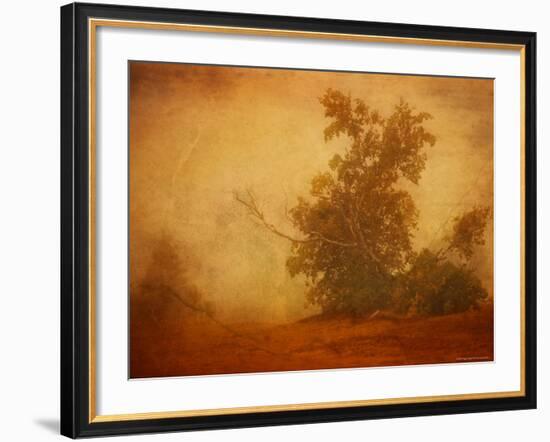 Red Planet-Irene Suchocki-Framed Photographic Print