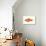 Red Platy (Xiphophorus Maculatus), Fishes-Encyclopaedia Britannica-Art Print displayed on a wall