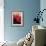 Red Poinsettias-Karen Armitage-Framed Giclee Print displayed on a wall