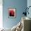 Red Poinsettias-Karen Armitage-Framed Giclee Print displayed on a wall