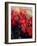 Red Poinsettias-Karen Armitage-Framed Giclee Print