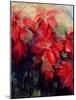 Red Poinsettias-Karen Armitage-Mounted Giclee Print