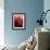 Red Poinsettias-Karen Armitage-Framed Giclee Print displayed on a wall
