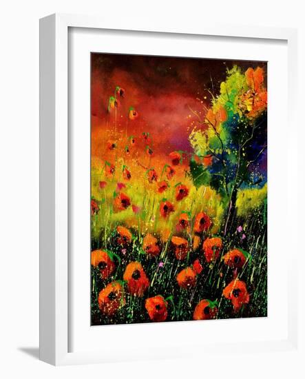 Red Poppies 451130-Pol Ledent-Framed Art Print