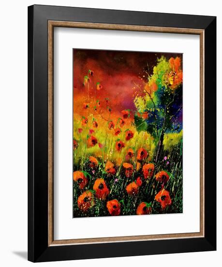 Red Poppies 451130-Pol Ledent-Framed Art Print