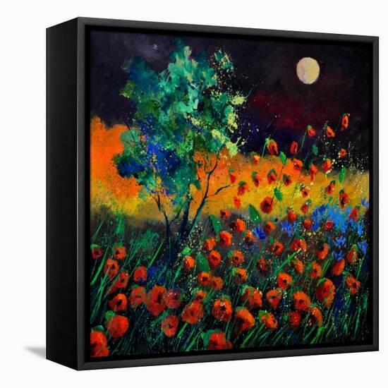 Red Poppies 774111-Pol Ledent-Framed Stretched Canvas