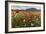 Red poppies and daisies in bloom, Castelluccio di Norcia, Province of Perugia, Umbria, Italy-Roberto Moiola-Framed Photographic Print