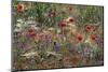 Red Poppies and Wildflowers-Paul Souders-Mounted Photographic Print