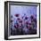 Red Poppies Growing in a Grassy Field-Paul Schutzer-Framed Photographic Print