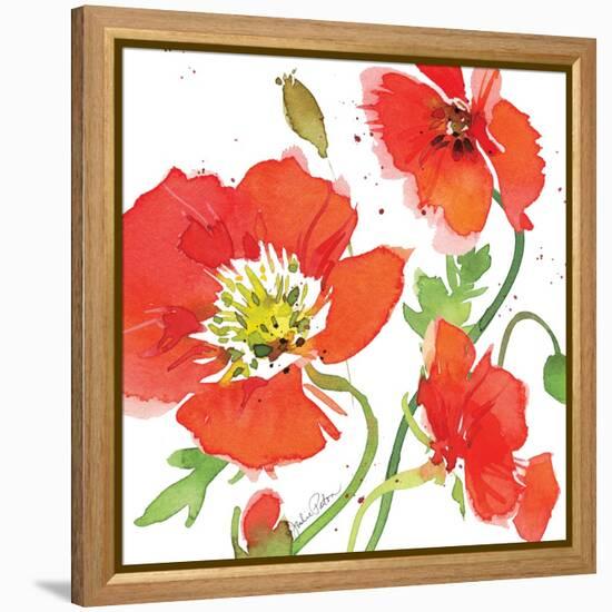 Red Poppies II-Julie Paton-Framed Stretched Canvas