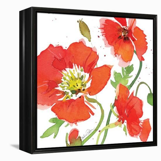 Red Poppies II-Julie Paton-Framed Stretched Canvas