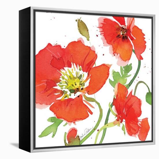 Red Poppies II-Julie Paton-Framed Stretched Canvas