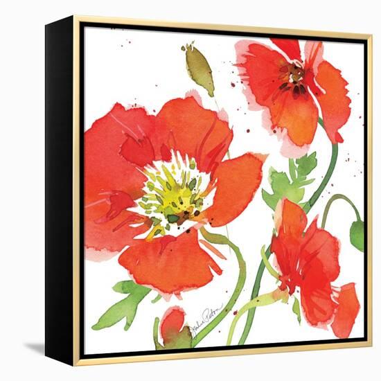 Red Poppies II-Julie Paton-Framed Stretched Canvas