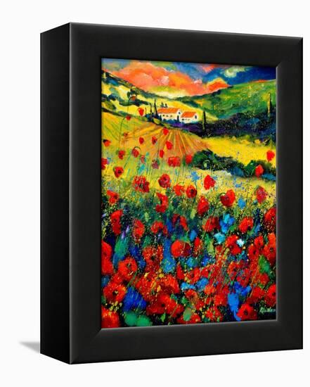 Red poppies in Tuscany (Italy)-Pol Ledent-Framed Stretched Canvas