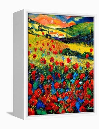 Red poppies in Tuscany (Italy)-Pol Ledent-Framed Stretched Canvas