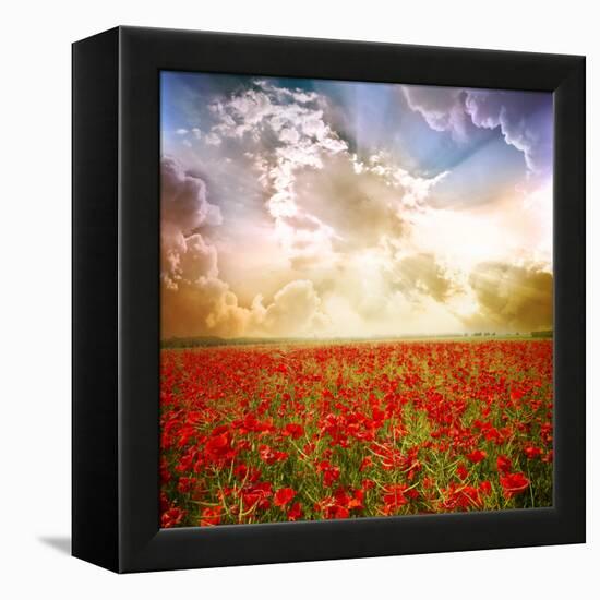 Red Poppies on Green Field, Sky and Clouds-Volokhatiuk-Framed Premier Image Canvas