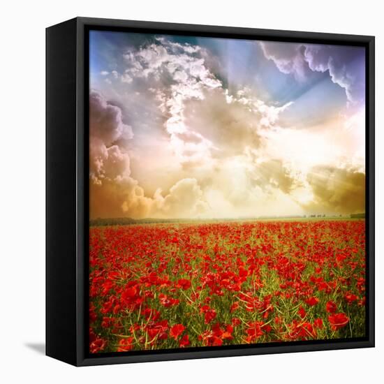 Red Poppies on Green Field, Sky and Clouds-Volokhatiuk-Framed Premier Image Canvas