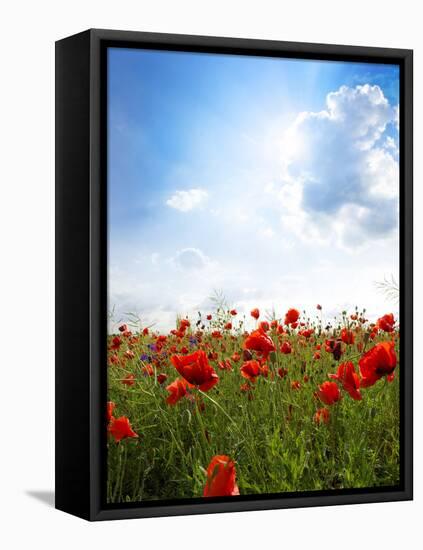 Red Poppies on Green Field, Sky and  Clouds-Volokhatiuk-Framed Premier Image Canvas