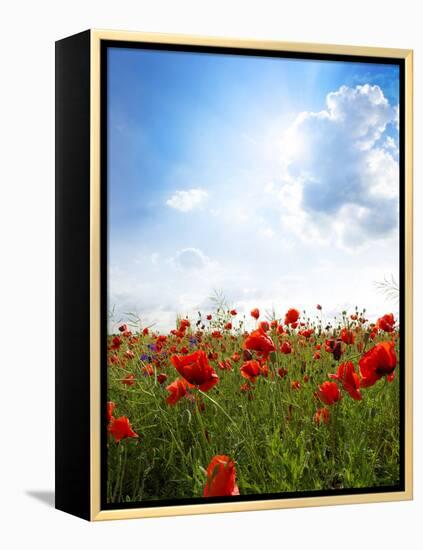Red Poppies on Green Field, Sky and  Clouds-Volokhatiuk-Framed Premier Image Canvas